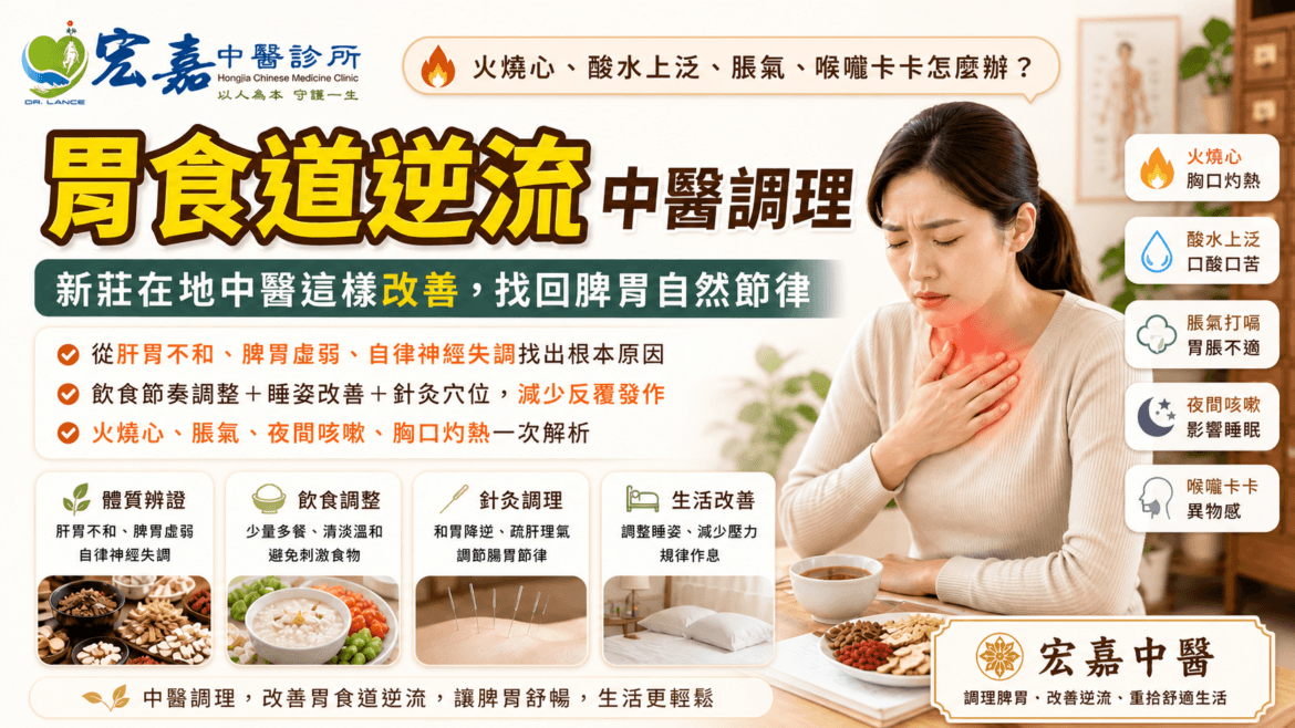 新莊中醫師林宏傑解說胃食道逆流的體質辨證與飲食調理方向