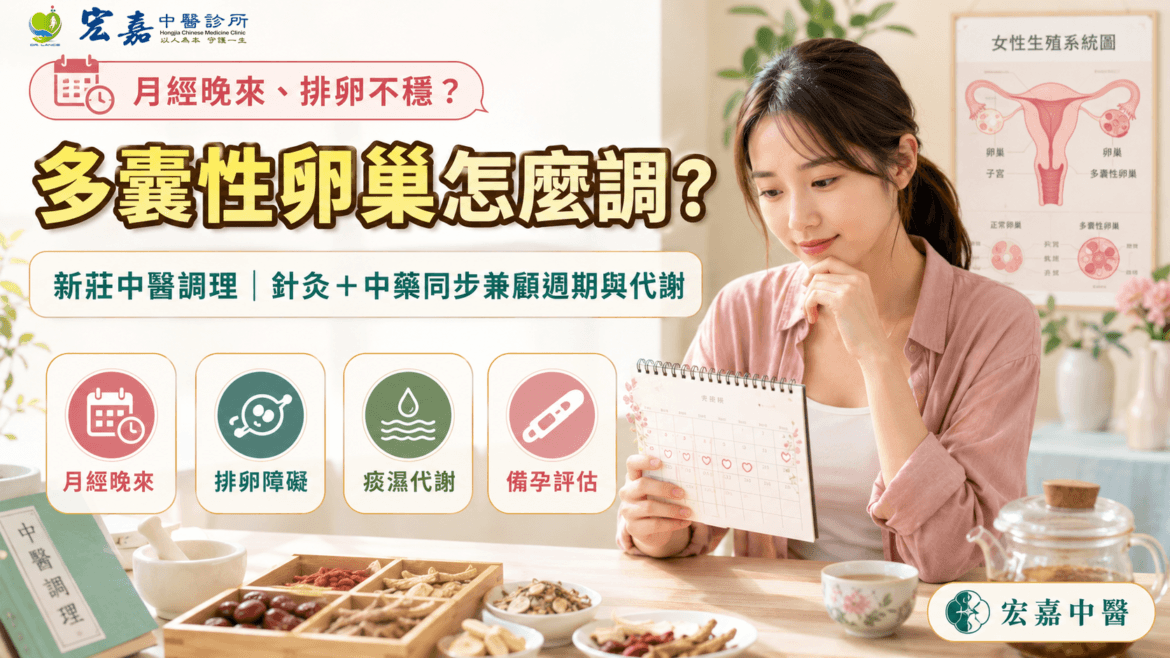 新莊多囊性卵巢中醫調理與PCOS月經排卵體質評估示意圖